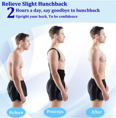 Back Support Adjustable Belt